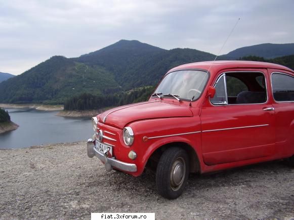 fiat liz munte cica