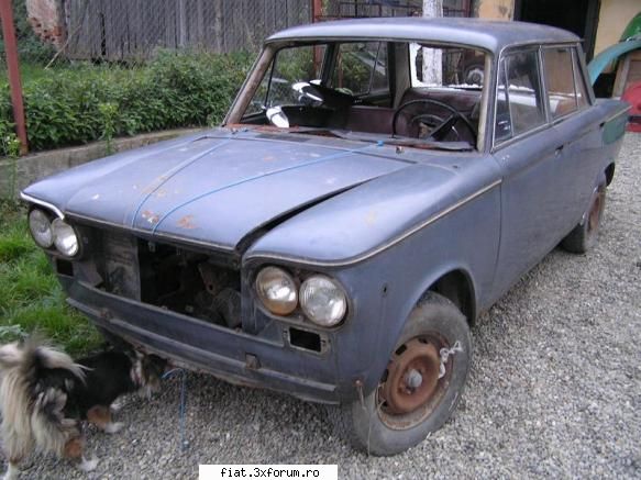 fiat 1500c...a car about reborn mai inoit parcul auto mult timp urma inca exemplar parerea mea