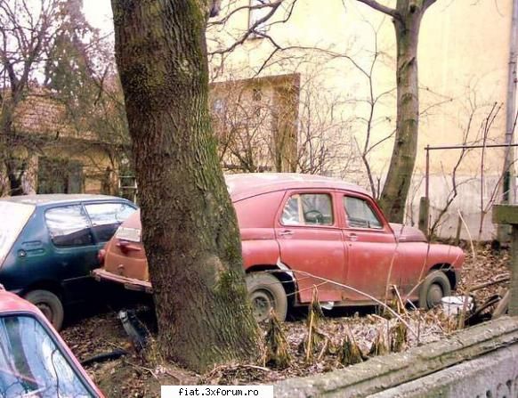 frumuseti surprinse trafic peugeot-ul s-a degradat incet incet....