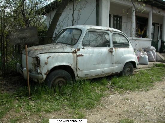 fiat 600 trafic, strazi, hangare... unde s-o mai ivi albesti