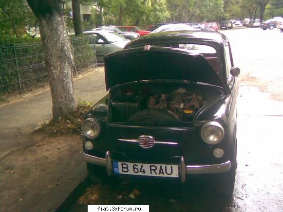 fiat 600d 1964