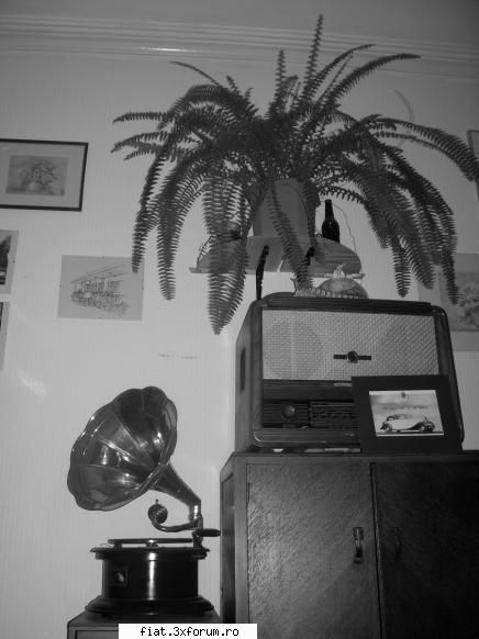 colectia mea aparate vechi este gramofon undeva dar cred original din anii 20.
