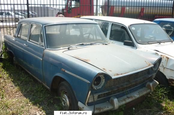 frumuseti surprinse trafic fiat 1800, ploiesti