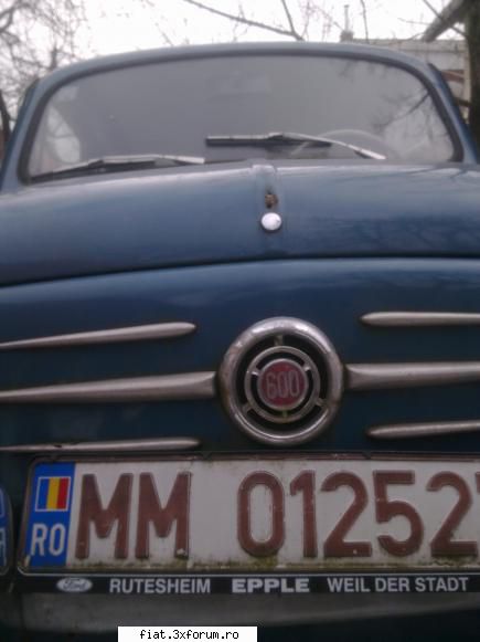 ultima fiat 600 in trafic, pe strazi, in hangare... si pe unde s-o mai ivi