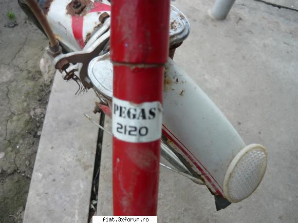 pegas poza4