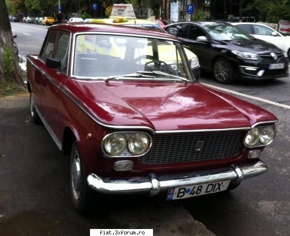 frumuseti surprinse trafic fiat 1300 