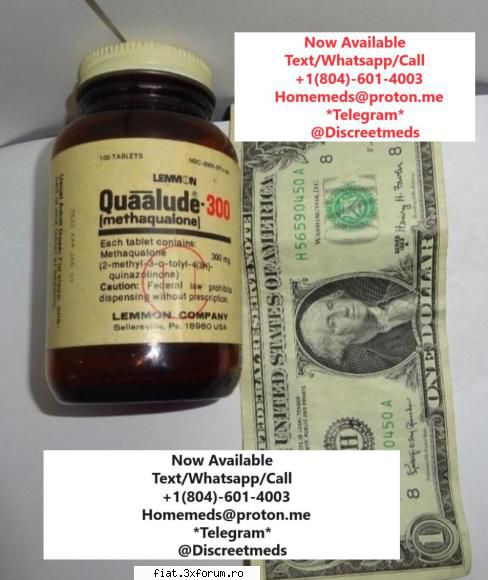 best quaaludes 300mg around best quaaludes pills 300mg for sale cheap all available mandrax pills