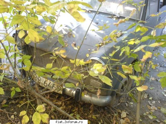 cumpar fiat 1100 (cu stopuri 850) poza
