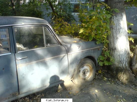 cumpar fiat 1100 (cu stopuri 850) poza