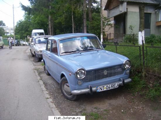 cumpar fiat 1100 (cu stopuri 850) 1100le din piatra