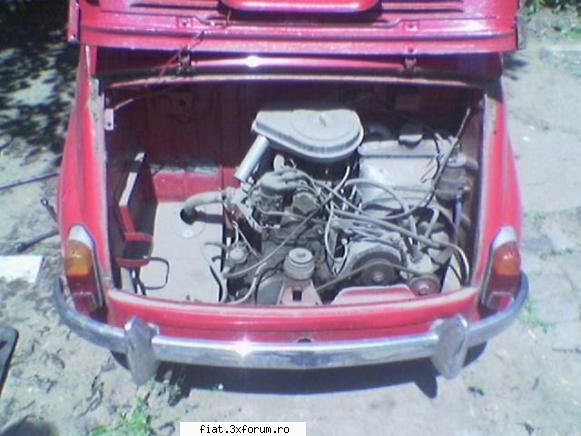 1962 Fiat 600D - motorasul prafuit - Club Fiat 500 & 600