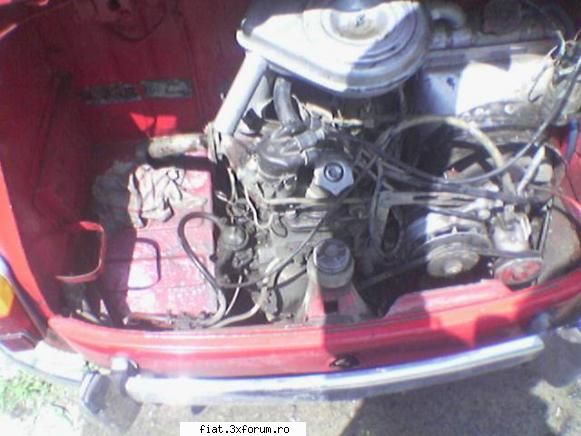 1962 Fiat 600D - motorul sters si el putin - Club Fiat 500 & 600