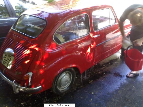 1962 Fiat 600D - senior cu buretele si galeata :D - Club Fiat 500 & 600