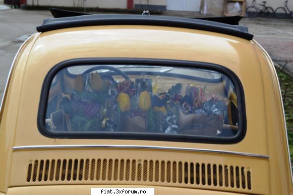 40 de ani si inca sexy ! - agache - Club Fiat 500 & 600