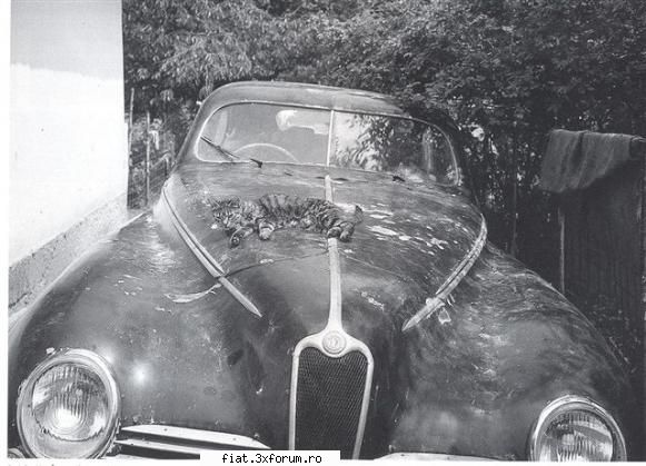 Alfa Romeo 2.9 Touring, 1942, #412039 - In 1987, un jurnalist suedez, Peter Haventon, a - Alte marci