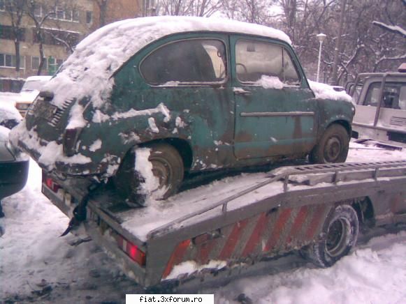 Am facut transplant de Fikati - Sambata, pe un ger de crapau pietrele si prin - Club Fiat 500 & 600