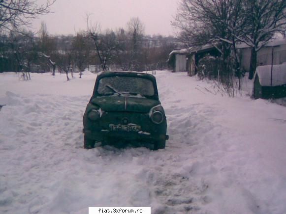 Am facut transplant de Fikati - Si o ultima poza cu noua mea achizitie. Sugestii - Club Fiat 500 & 600