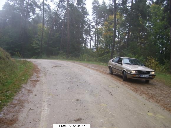 Brasov Classic Rally - prin padure....spre Valea mare..plaiuri - Classic corner