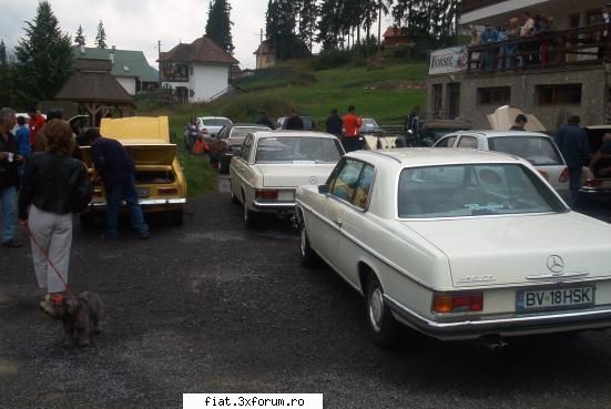 Carpati retro ... pozele - ce bine le sta impreuna - Discutii libere