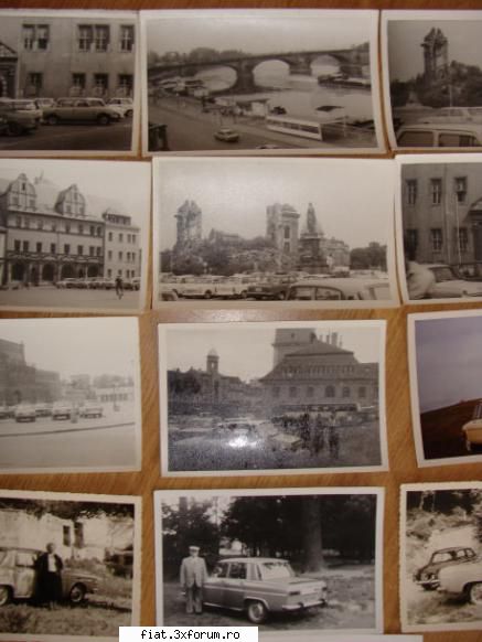 Cateva fotografii - timariu dragos - Anunturi