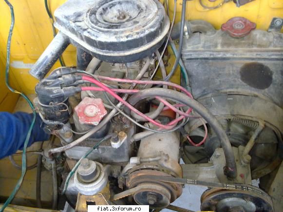 Caut dinam Fiat 600D 1964 - Si mai de aproape - Club Fiat 500 & 600
