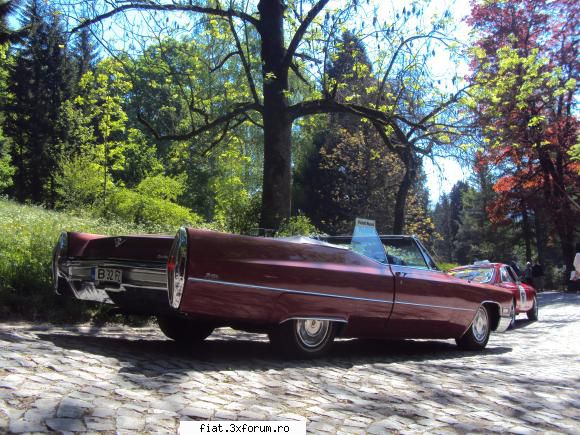 Concursul de eleganta Sinaia - nnn1310 - Classic corner