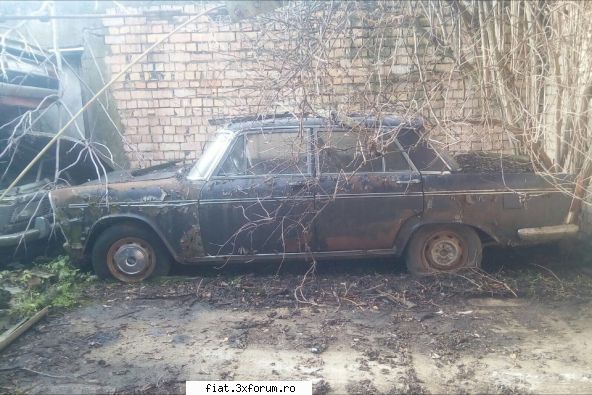 Cumpar piese Fiat 1800 - Pe 28 plănuiesc eliberarea curtii, asa ca ii - Club Fiat 1800