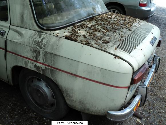 DACIA 1100, 1969, 84.000 km - ultima achizitie - Alte marci