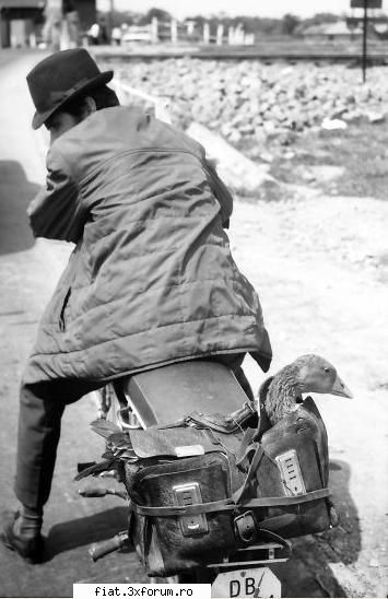 Din cutia cu amintiri partea 1-a - Pe motoreta. Numere sunt de Dobrogea, nu de - Classic corner