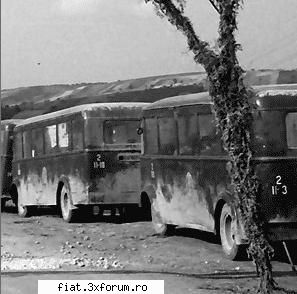 Din cutia cu amintiri partea 1-a - Autobuze in nordul Moldovei - Classic corner