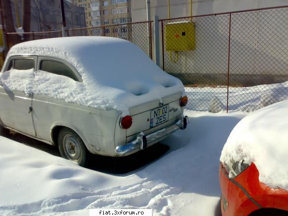 Din placere! - ficatelul - Club Fiat 850