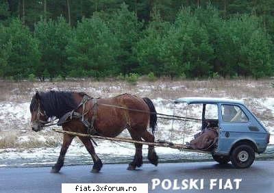 Fiat-ist din nou - starea unei masini este relativa de la pasioant - Club Fiat 1300&1500