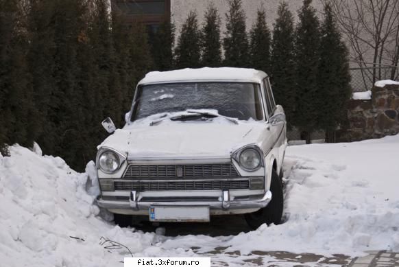 Fiat-uri 1500L/ ramase in RO - un din jud SV ideea e ca mai exista inca multe - Club Fiat 1800