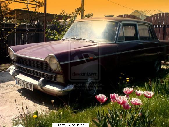 Fiat-uri 1500L/ ramase in RO - Tot din Iasi , dar nu stiu daca este cea din - Club Fiat 1800