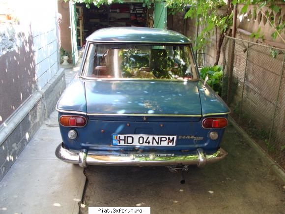 Fiat 1300 a.f. 1966 - timariu dragos - Club Fiat 1300&1500