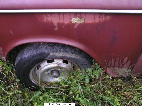Fiat 1300 gasit in paragina,viitor donator de piese ;) !!! - Bug - Bursa