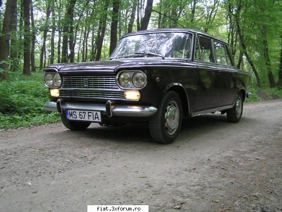 fiat 1500 1967 mica plimbare prin padure