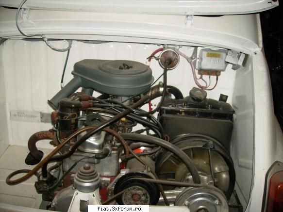 Fiat 600 de vanzare - Alexdenapoca - Club Fiat 500 & 600