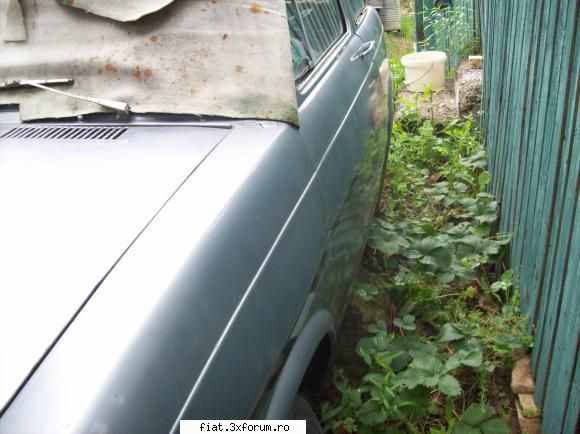 Fiat 850 - pt piese - abarth_mcm - Bursa