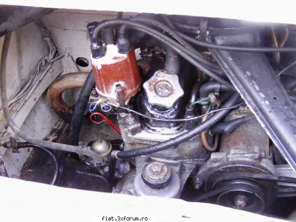 Fiat 850 special de vanzare - pretul este neg - Club Fiat 850