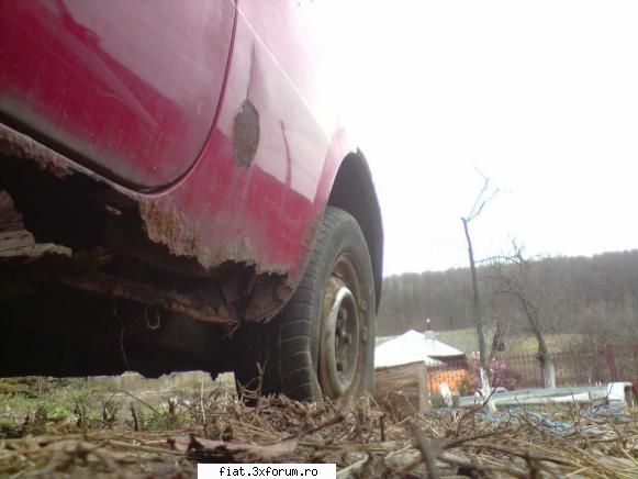 Fiat 850 stilul street4cars - Rugina rugina si iar rugina+ ca nu am avut nimic - Club Fiat 850