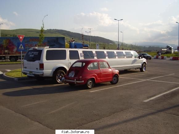 sau fiat liz