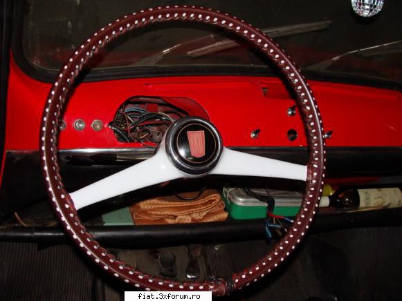 Fiatul 600 al lui Marczello - am spalat husa si dupa o munca de ceasornicar am - Club Fiat 500 & 600