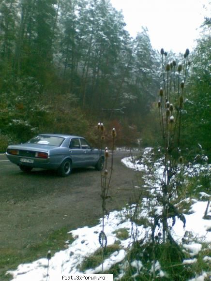 Ford Granada Mk1 - p.ady - Anunturi