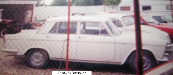 Frumuseti surprinse in trafic - si un vecin in alb, acceasi locatie - Classic corner