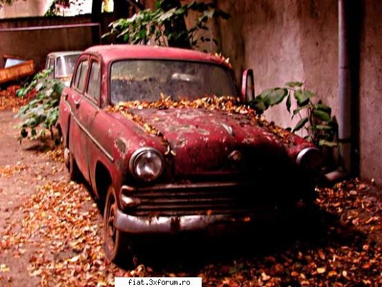 Frumuseti surprinse in trafic - Adrian - Classic corner