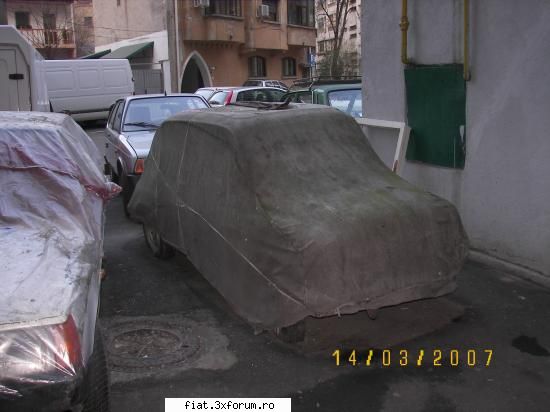 probabil un fiat 600 frumuseti surprinse in trafic
