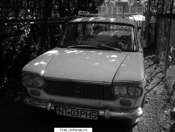 Frumuseti surprinse in trafic - Adrian - Classic corner