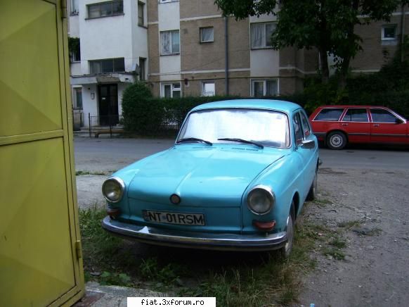 Frumuseti surprinse in trafic - majoritatea e sub iarba. proprietarul (f amabil) - Classic corner