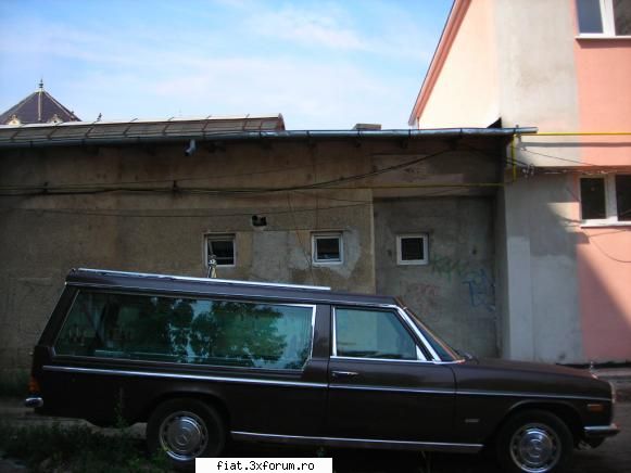 Frumuseti surprinse in trafic - este un bot de cal splendid, tot italian - Classic corner